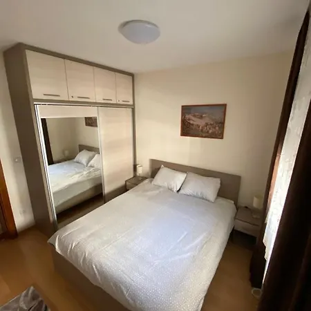 Bozur Apartment Vrnjačka Banja
